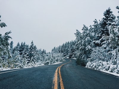 白天之间的灰色沥青道路冰雪覆盖树
